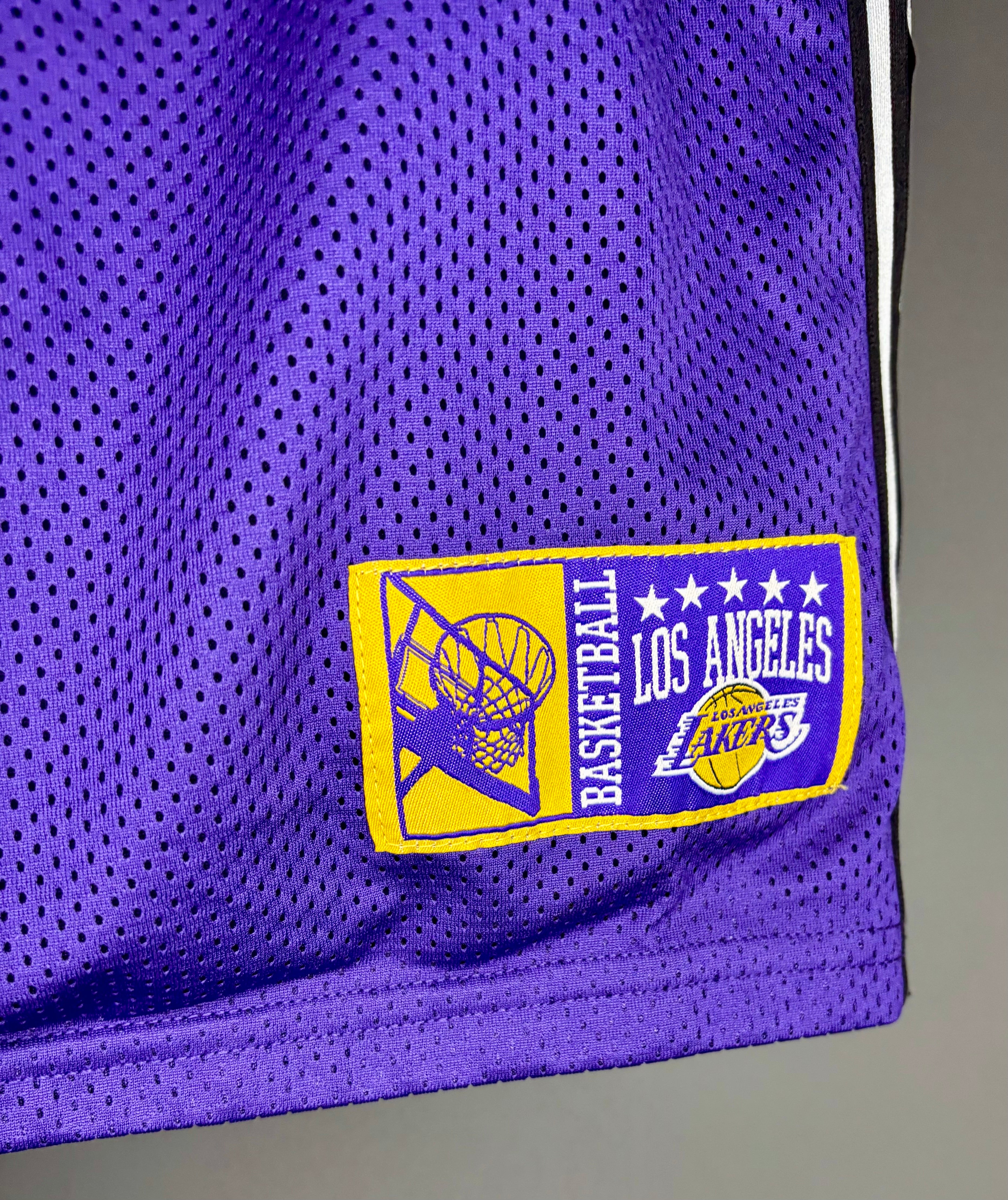 NBA LA Lakers Jersey #23 LeBron James Lila Größe M