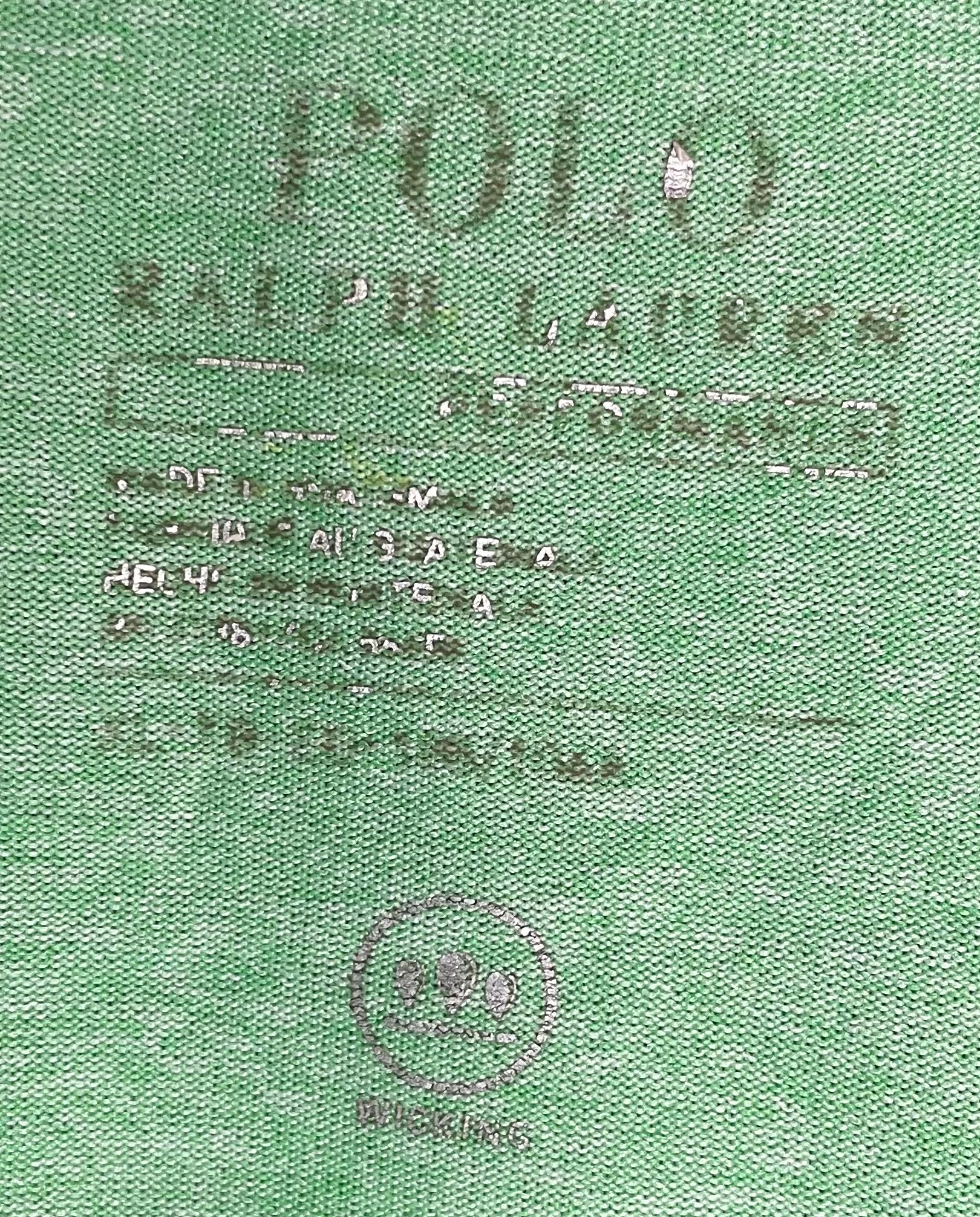 Ralph Lauren T-Shirt Grün Größe XL