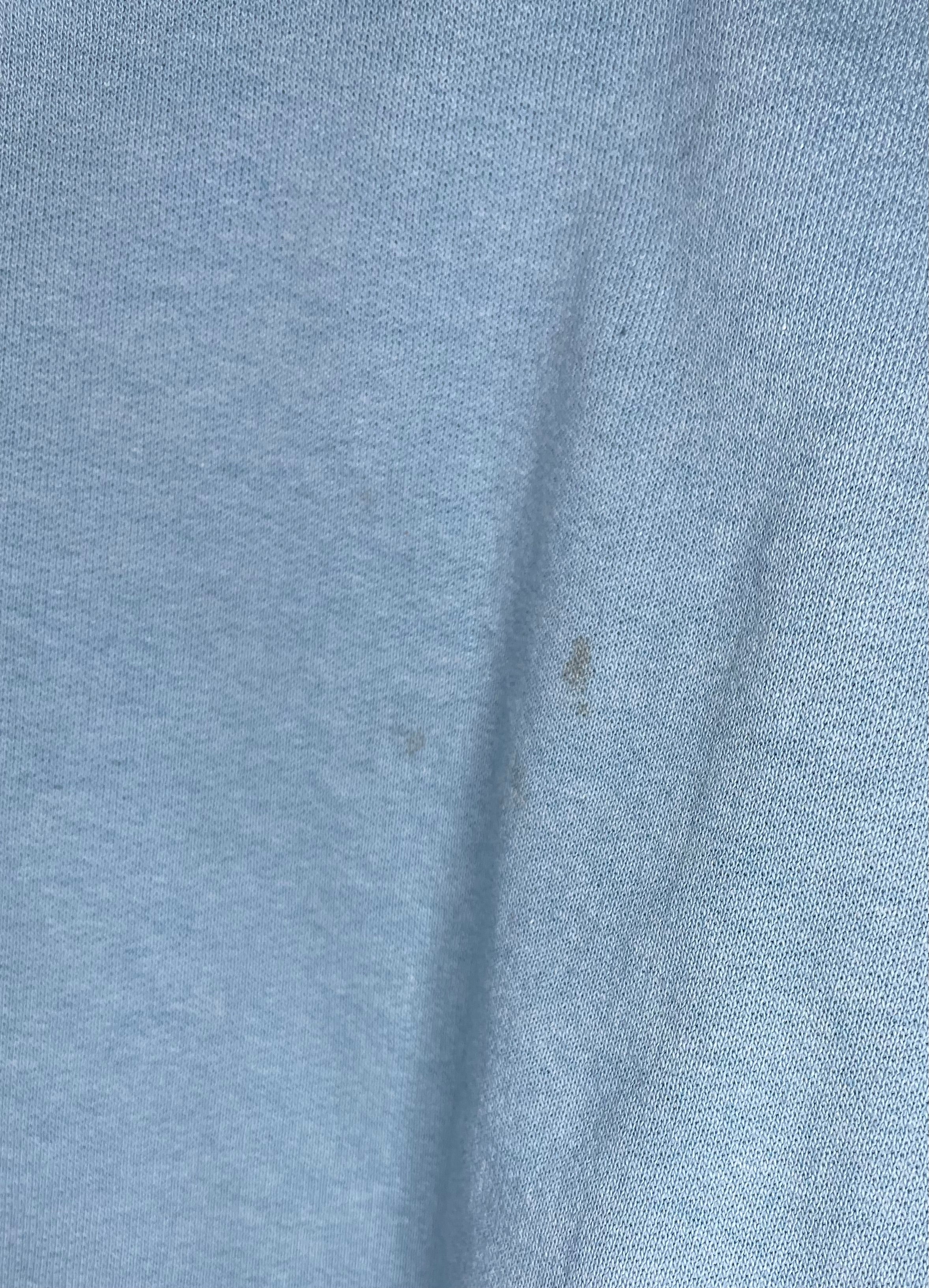 Champion Hoodie Minnesota State Light Blue Size S