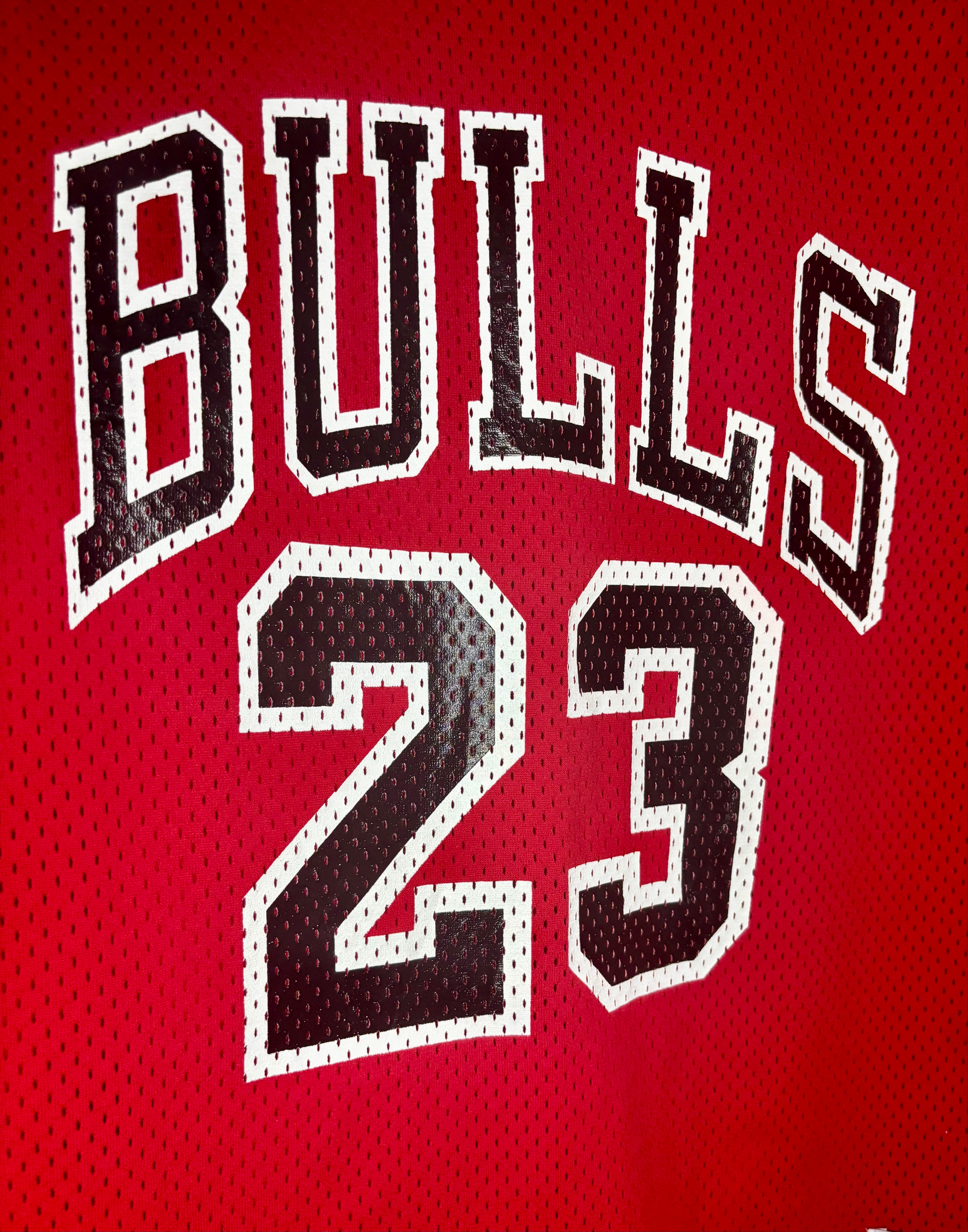 Champion NBA Vintage Chicago Bulls Jersey #23 Michael Jordan Rot Größe L